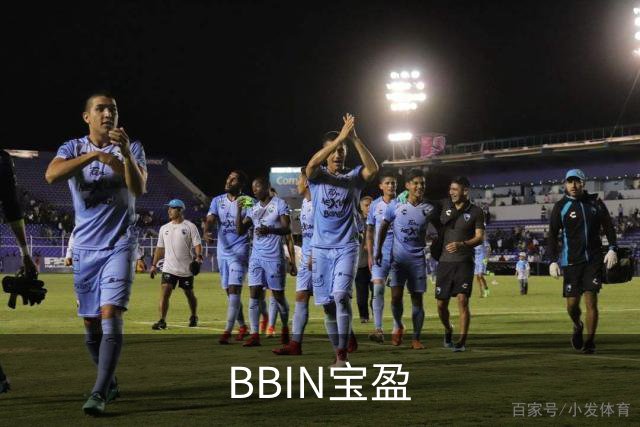 关于BBIN宝盈